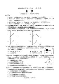 广西柳州市联谊校2025-2026学年高二上学期11月月考物理试卷（PDF版附解析）