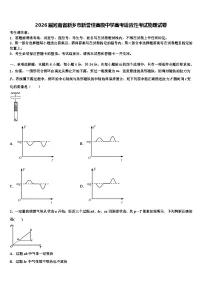 2026届河南省新乡市新誉佳高级中学高考适应性考试物理试卷含解析