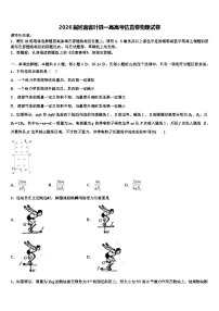 2026届河南省叶县一高高考仿真卷物理试卷含解析