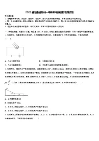 2026届河南省郑州一中高考考前模拟物理试题含解析
