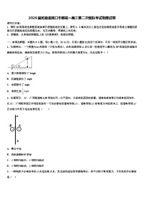 2026届河南省周口市郸城一高三第二次模拟考试物理试卷含解析