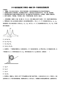2026届河南省周口市郸城一高高三第一次调研测试物理试卷含解析