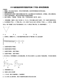 2026届河南省郑州市外国语学校高三下学期一模考试物理试题含解析