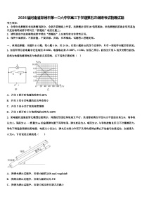 2026届河南省郑州市第一〇六中学高三下学期第五次调研考试物理试题含解析