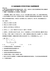 2026届河南省周口市中英文学校高三压轴卷物理试卷含解析
