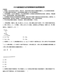 2026届河南省驻马店市新蔡县高考压轴卷物理试卷含解析
