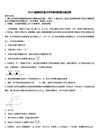 2026届鹤岗市重点中学高考物理五模试卷含解析