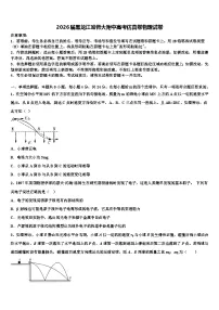 2026届黑龙江哈师大附中高考仿真卷物理试卷含解析