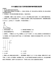 2026届黑龙江省大兴安岭漠河县高中高考物理五模试卷含解析