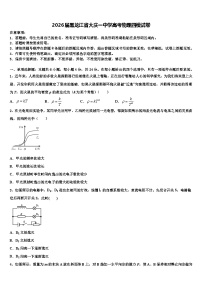 2026届黑龙江省大庆一中学高考物理四模试卷含解析