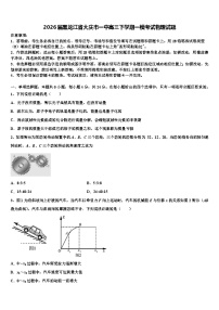 2026届黑龙江省大庆市一中高三下学期一模考试物理试题含解析