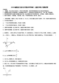 2026届黑龙江省大庆市重点中学高三（最后冲刺）物理试卷含解析