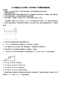 2026届黑龙江大庆市第三十五中学高三下学期联考物理试题含解析