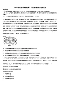 2026届河南中原名校高三下学期一模考试物理试题含解析