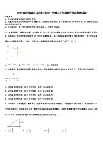 2026届河南省驻马店市正阳县中学高三下学期联合考试物理试题含解析