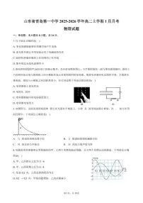 山东省青岛第一中学2025-2026学年高二上学期1月月考物理试卷（含解析）