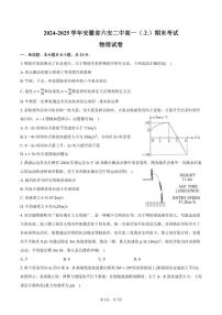 2024-2025学年安徽省六安二中高一（上）期末物理试卷（有答案）