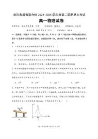 湖北省武汉市常青联盟2024-2025学年度下学期高一年级6月联考物理试卷