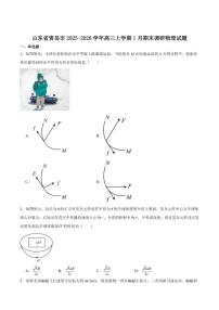 山东省青岛市2026届高三上学期1月部分学生调研检测（期末）物理试卷（含答案）