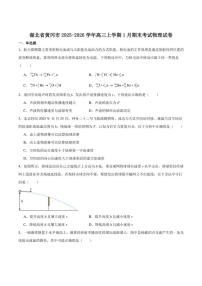 湖北省黄冈市2026届高三上学期1月期末考试物理试卷（含答案）