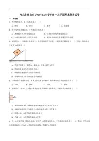 2025-2026学年河北省唐山市高一上学期期末物理试卷（含答案）