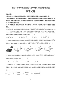 山东省泰安市第一中学（青年路校区）2025-2026学年高一上学期1月诊断性测试物理试卷