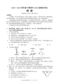 四川省成都市蓉城名校联盟2024-2025学年高一下学期期末考试物理试卷（无答案）