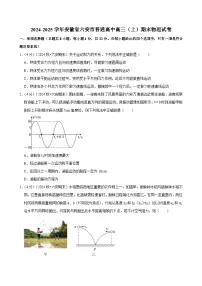 2024-2025学年安徽省六安市普通高中高三（上）期末物理试卷(含详细答案解析)