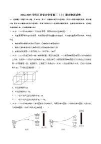 2024-2025学年江西省吉安市高三（上）期末物理试卷(含详细答案解析)
