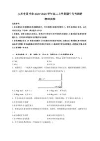 2025-2026学年江苏省苏州市高二上学期期中阳光调研物理试卷（有答案）