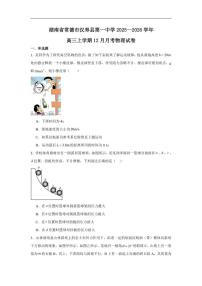 2025-2026学年湖南省常德市汉寿县第一中学高三上学期12月月考物理试题（有解析）