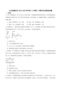 2024-2025学年山东省潍坊市高二上学期期末考试物理试卷（有解析）