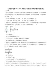 2024-2025学年山东省潍坊市高二上学期期末考试物理试卷（有解析）