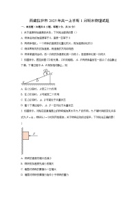 2024-2025学年西藏拉萨市高一上学期1月期末物理试卷（学生版）
