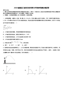 2026届黑龙江省哈尔滨市第九中学高考物理必刷试卷含解析