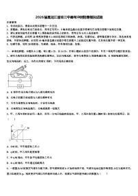 2026届黑龙江省哈三中高考冲刺物理模拟试题含解析