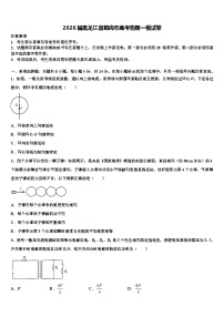 2026届黑龙江省鹤岗市高考物理一模试卷含解析