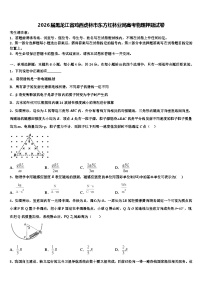 2026届黑龙江省鸡西虎林市东方红林业局高考物理押题试卷含解析