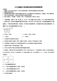 2026届黑龙江省全国名校高考仿真卷物理试卷含解析