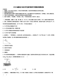 2026届黑龙江省示范性高中高考冲刺模拟物理试题含解析