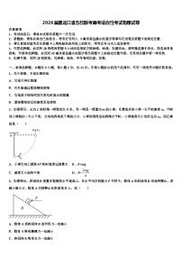 2026届黑龙江省五校联考高考适应性考试物理试卷含解析