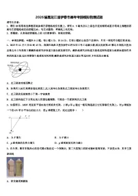 2026届黑龙江省伊春市高考考前模拟物理试题含解析