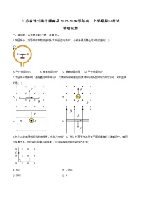 江苏省连云港市灌南县2025-2026学年高二上学期期中考试物理试卷（含答案）