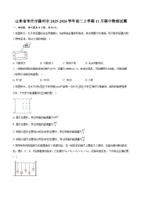山东省枣庄市滕州市2025-2026学年高二上学期11月期中物理试卷（含答案）