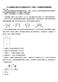 2026届黑龙江省牡丹江市爱民区牡丹江一中高三3月份模拟考试物理试题含解析