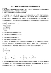 2026届黑龙江省龙东南七校高三下学期联考物理试题含解析