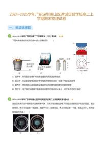 2024-2025学年深圳实验学校高二(上)期末物理试卷含答案