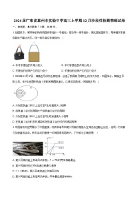 2026届广东省惠州市实验中学高三上学期12月阶段性检测物理试卷（含答案）