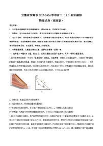 安徽省淮南市2025-2026学年高三上学期期末模拟物理试卷（拔高版）【含答案】