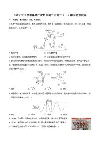 2025-2026学年黑龙江省哈尔滨三中高三（上）期末物理试卷（含答案）